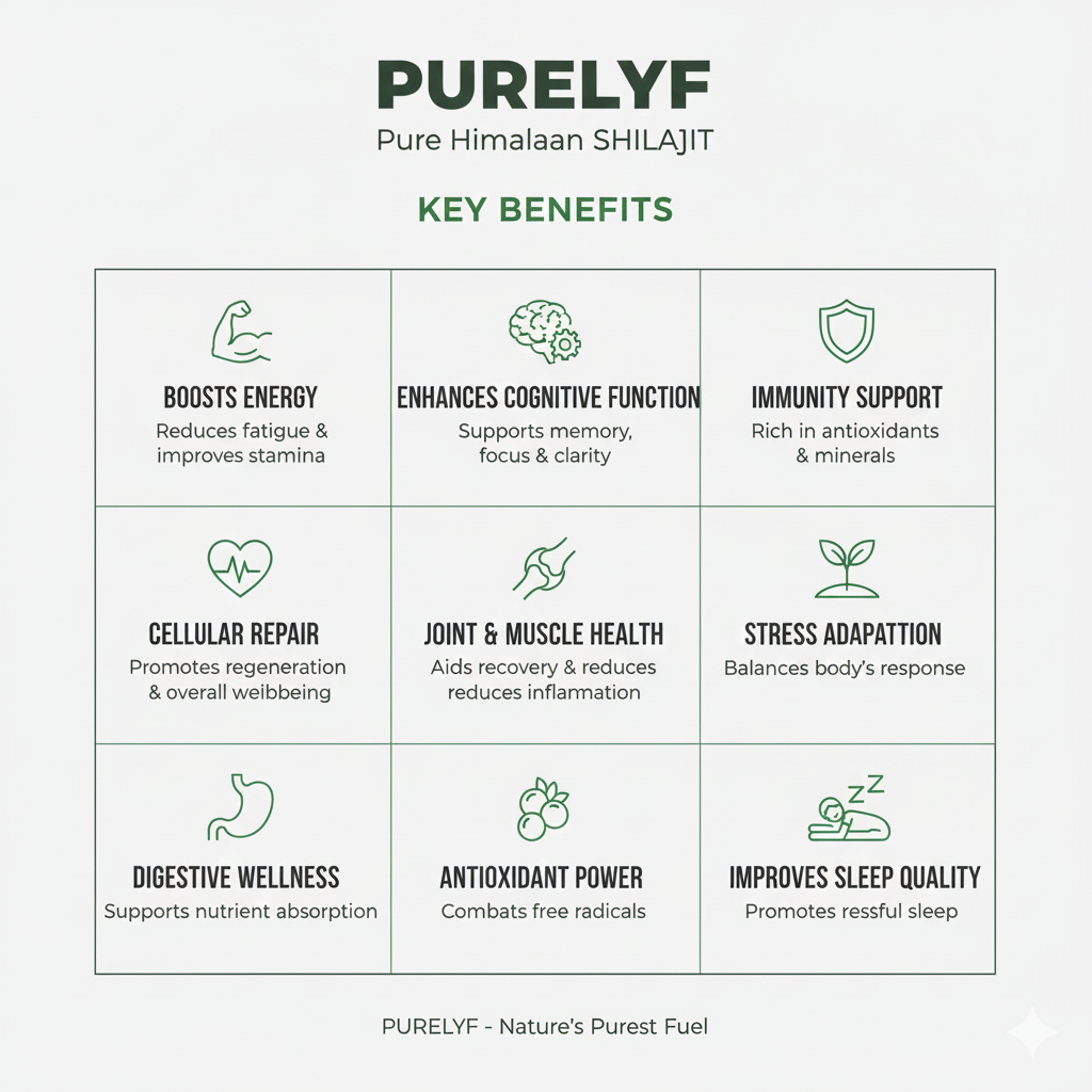 Pure Shilajit - Gilgit Salajeet