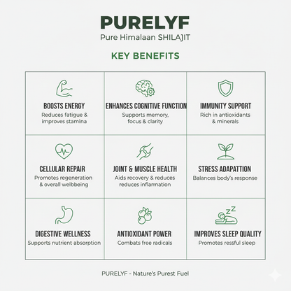 Pure Shilajit - Gilgit Salajeet