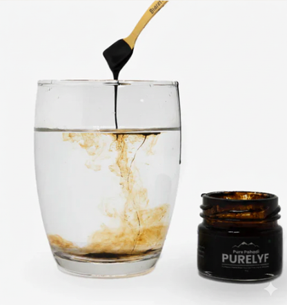 Pure Shilajit - Gilgit Salajeet