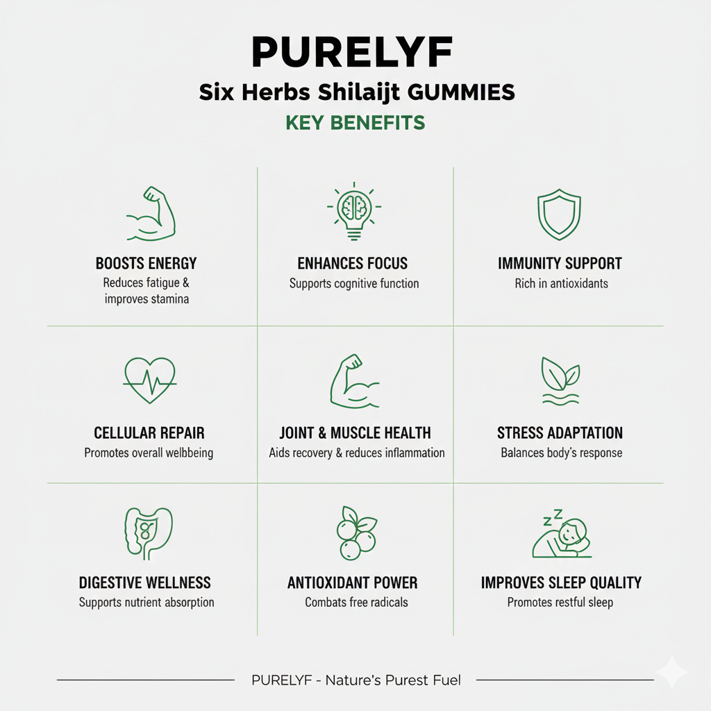 Shilajit Gummies Six Herbs