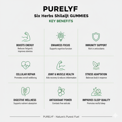 Shilajit Gummies Six Herbs